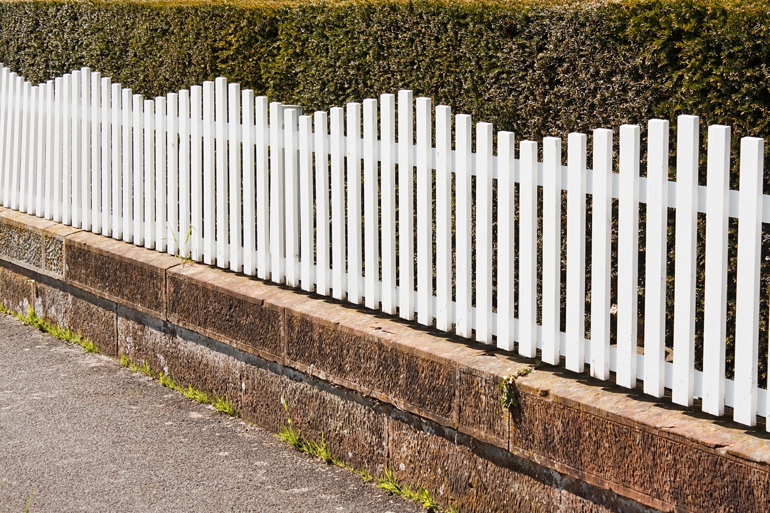 How To Get Affordable Invisible Fencing In Your City