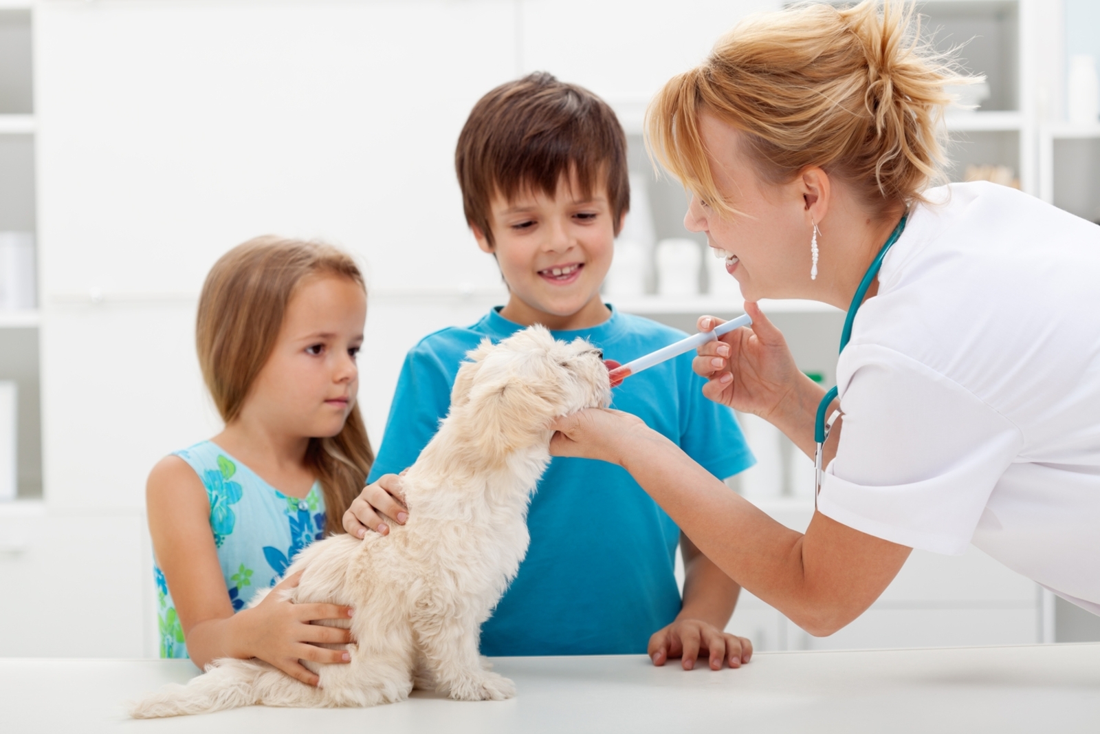 Unlocking the Secrets to Affordable Pet Insurance